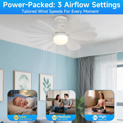 Socket Fan Light with Remote - 20'' Modern Small Ceiling Fans with Lights, 2200 Lumens Dimmable Led Bulb, 3 Colors 3000K-6500K, Easy Install Screw in E26 Base for Bedroom Living Room Kitchen Garage
